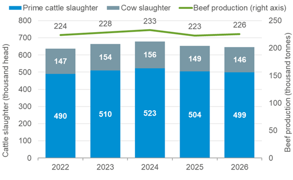 Combined graph showing cattle production for Q1 